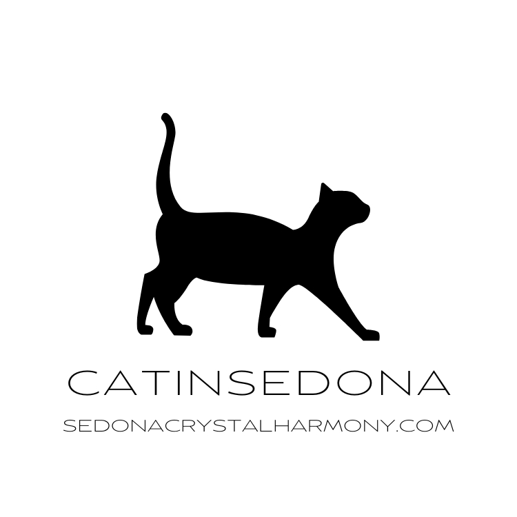 Cat In Sedona